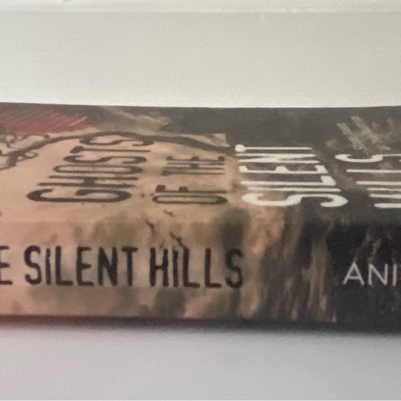 Book-Ghosts of Silent Hills - Picture 3 of 4